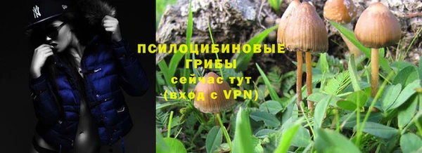 спиды Осташков