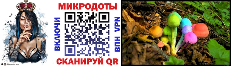Галлюциногенные грибы Magic Shrooms  цены наркотик  Новая Ладога 