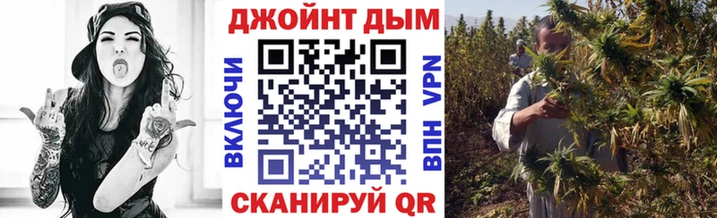 Бошки Шишки AK-47  Новая Ладога 